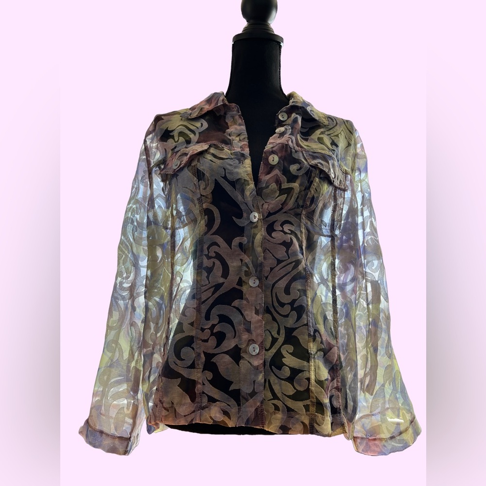 Pastel Floral Baroque Applique Long Sleeve Sheer Button Up Top